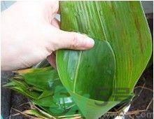 粽子怎么包好看图解法 粽子怎么包视频教程