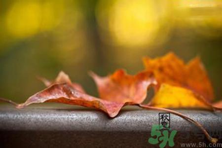 立秋是什么意思？立秋的含义