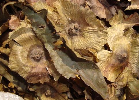 青钱柳可以减肥吗 青钱柳减肥方法