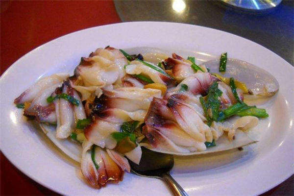 象拔蚌为什么叫象拔蚌 象拔蚌是大象的哪个部位