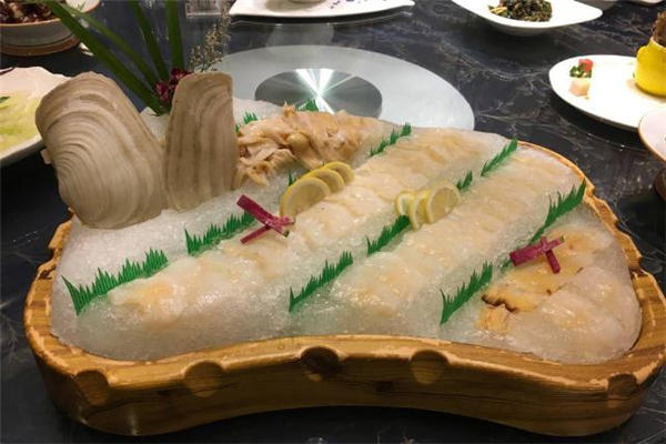 象拔蚌为什么叫象拔蚌 象拔蚌是大象的哪个部位