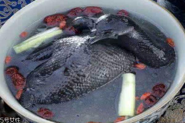 乌鸡汤要怎么做呢 乌鸡汤有什么营养呢