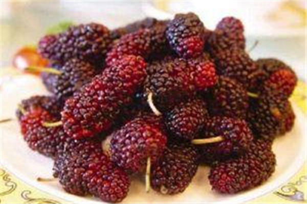 桑葚是凉性的吗 桑葚属于什么水果