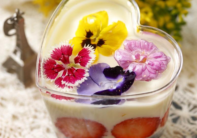 可以吃的花有哪些图片 好看又好吃