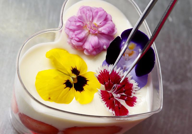 可以吃的花有哪些图片 好看又好吃