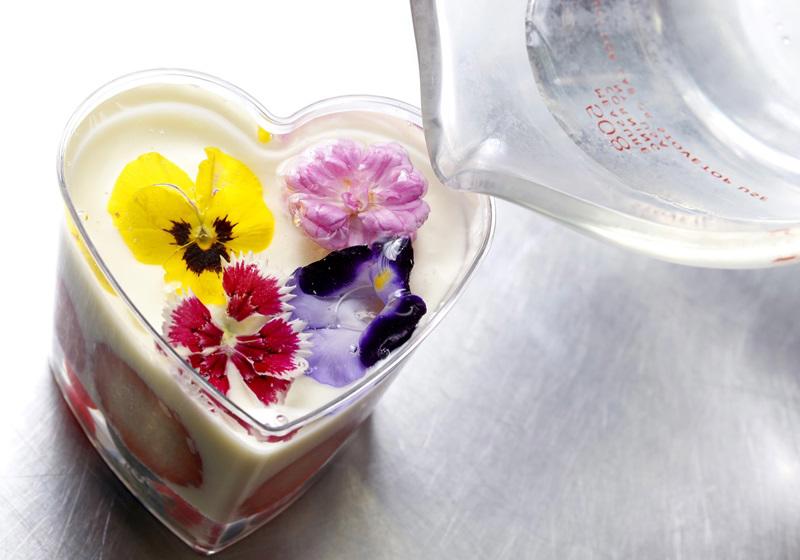 可以吃的花有哪些图片 好看又好吃