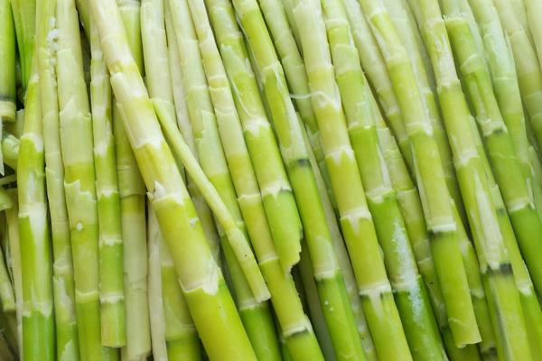 冬笋是什么竹子的笋 毛竹的笋