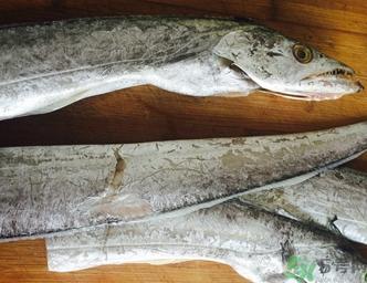 带鱼怎么去鱼鳞?带鱼的鱼鳞怎么刮图解