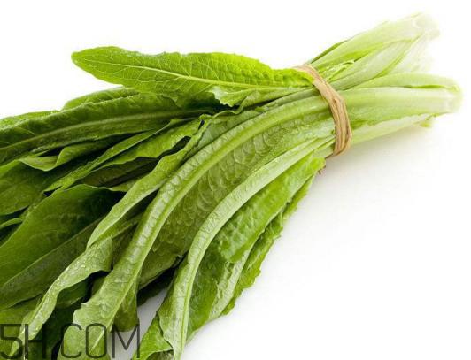 油麦菜怎么做好吃?油麦菜怎么种植