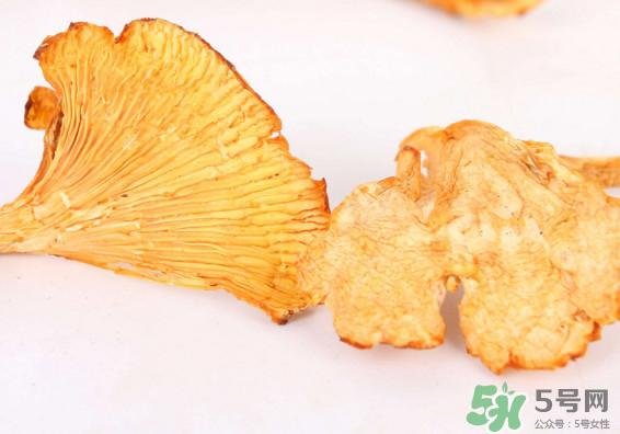 鸡油菌多少钱一斤？鸡油菌和鸡枞菌有什么区别