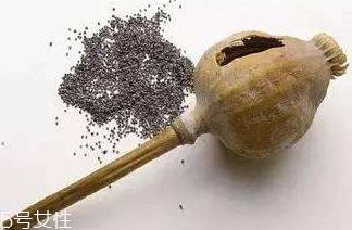 罂粟籽的食用方法很广泛