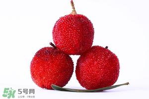 杨梅酒的做法 自制杨梅酒的做法