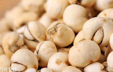 川贝母的副作用 胃寒者会引起腹痛