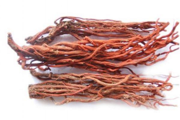 丹参泡水喝的好处 丹参的功效与作用