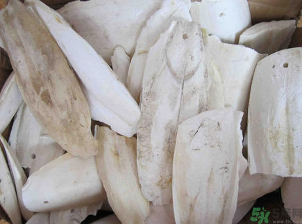 乌贼骨是什么?乌贼骨的功效与作用