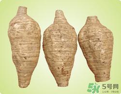 粉葛是什么东西?粉葛的功效与作用