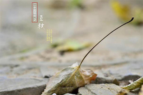 立秋无雨是空秋有什么说法 立秋不下雨真的影响收成吗