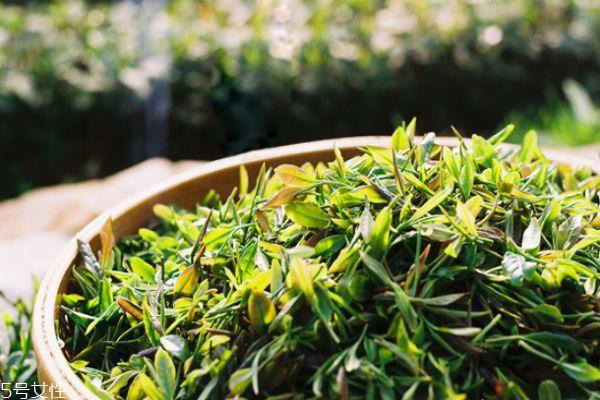 崂山绿茶价格多少钱一斤 崂山绿茶价格