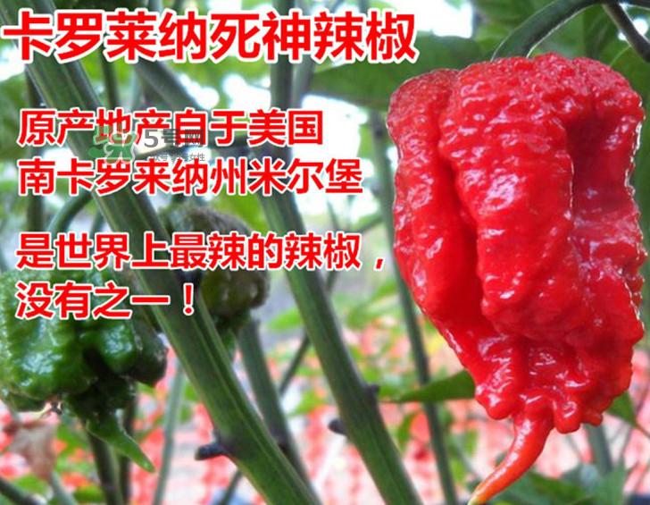 死神辣条哪儿有卖?哪里可以买到死神辣条