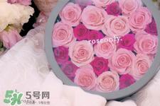 roseonly鲜花多少钱?roseonly永生花多少钱?