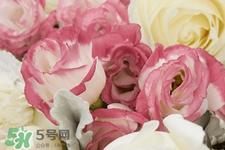 roseonly鲜花多少钱?roseonly永生花多少钱?
