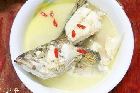 鱼汤用什么鱼好 这三种鱼最好