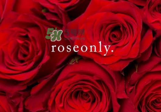 2017七夕礼盒roseonly多少钱?roseonly巨型玫瑰礼盒多少钱?