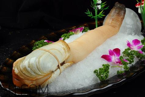 象拔蚌女生能用吗 象拔蚌女人能用吗