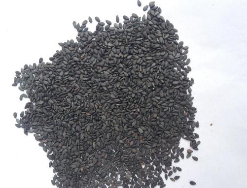 芝麻油可以蒸蛋吗 简单好吃的美食