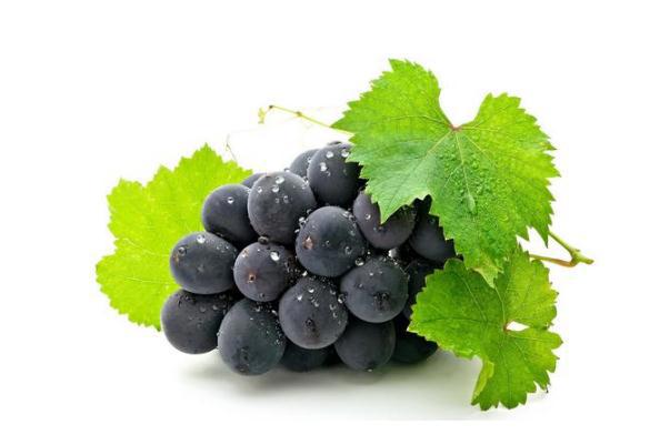 巨峰葡萄的功效与作用 巨峰葡萄为什么叫巨峰