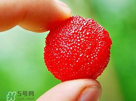 杨梅一天最多吃多少？杨梅一次能吃多少？