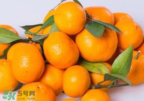 桔子批发多少钱一斤?桔子多少钱一斤?