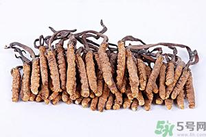 冬虫夏草真假怎么鉴别?冬虫夏草怎么吃效果最好?