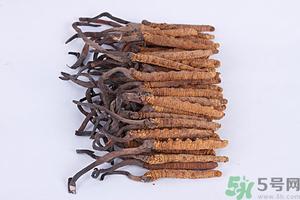 冬虫夏草真假怎么鉴别？冬虫夏草怎么吃效果最好？