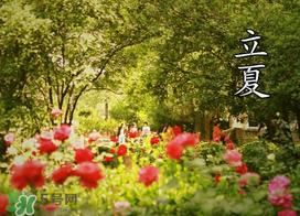 ​立夏是夏天吗？​立夏是夏天的开始吗？