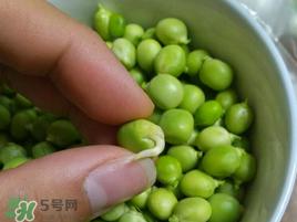 新鲜豌豆发芽了能吃吗？豌豆发芽了还能吃吗？