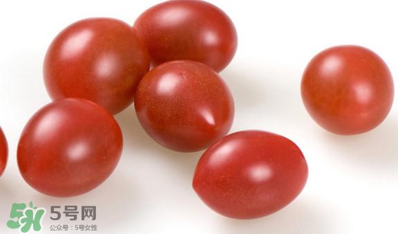 圣女果是转基因的吗？圣女果转基因食品吗