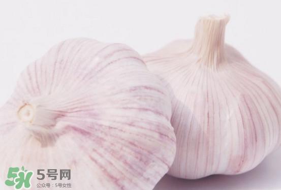 新蒜头多少钱一斤2017？新蒜头市场价格