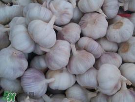 新蒜头多少钱一斤2017？新蒜头市场价格
