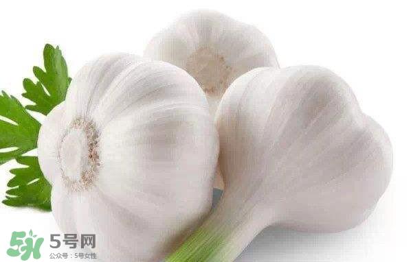 新蒜头多少钱一斤2017？新蒜头市场价格