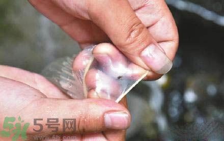 3个月怀孕2次 怎么辨别避孕套优劣?