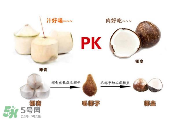 椰子怎么打开?椰子壳怎样打开