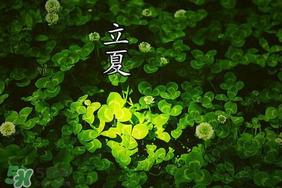 立夏和夏至有什么区别?立夏和夏至的区别