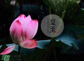 立夏和夏至有什么区别?立夏和夏至的区别