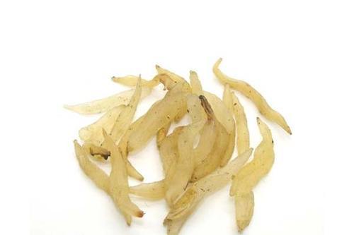 天冬是什么 天冬和天门冬的区别