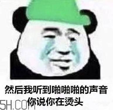 做头发表情包 我去做头发了绿帽表情包