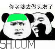 做头发表情包 我去做头发了绿帽表情包
