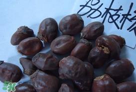 荔枝核怎么吃？荔枝核的功效与作用