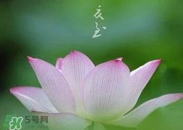 夏至热吗 夏至是最热的时候吗