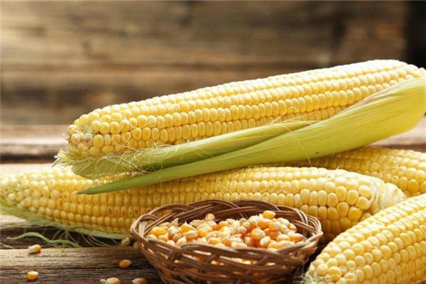 煮玉米是冷水下锅还是热水下锅 玉米怎么煮好吃